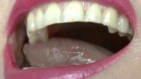 Biting gummy bear MP4 HD 720p