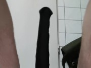 Horse Cock Anal insert