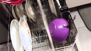 Peeing on my Kithchen Appliances (With Slow Mobility Replay)