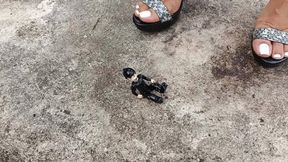 Raxan giant woman crushes and tramples small lover (3)