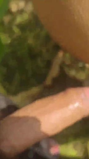 Jangal me bhabhi ne sex kiya Part 2   Clip 1