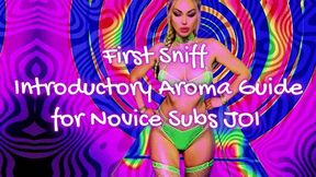 First Sniff - Introductory Aroma Guide for Novice Subs JOI WMV