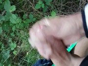 Spontaan geil in het bos