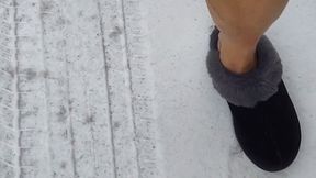 Tempest walking in thick mules