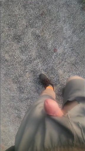 Went for a Walk at the Truck Stop