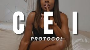 CEI Protocol