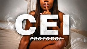 The CEI Protocol