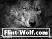 Flint Wolf Ultimate daily Cum Challenge day 35