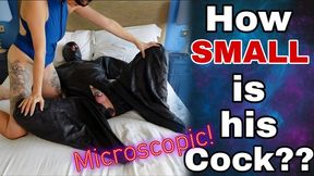 How Small Is His Cock? Femdom Slave SPH Humiliation