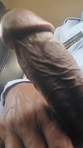 Indian Big Bull