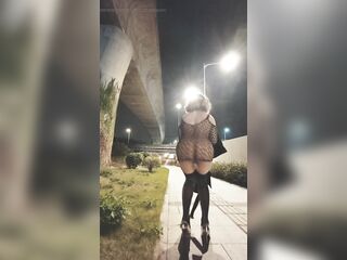 Street nudity and Twerking collection PMV