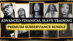 High End Financial Slave Training (Updated 2026 Standards)