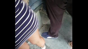 Bus panam