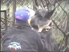 Vintage Gay Teen Porn - Geile Wuensche