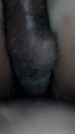 Black Breeders 56