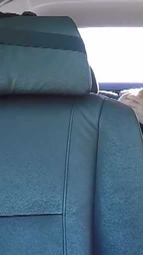 Backseat Titfuck Surprise - Scene 4   Clip 1