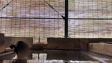 Japanese girl bathing in a mixed outdoor bath at a hot spring inn