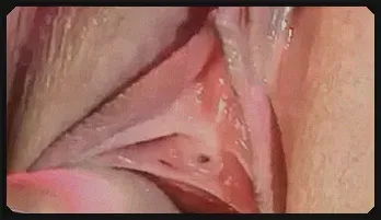 Jane Lixx: Intense Passion and Pleasure