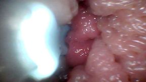 Extreme Proximity Turns Watcher Into Active, Hungry Participant