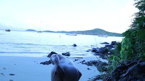 Morning Waves & Muscle Craves: Oceanfront Strip Tease