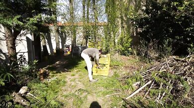 Looking for HARD LOGS to saw!????(amateur sex in the woods)