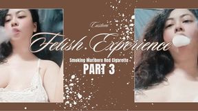 Custom - PART 3 - Fetish Experience Smoking Marlboro Red Cigarette - POV - RP