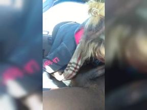 Thick bbc car blowjob