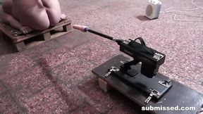 Submissed featuring nymph's adult toys scene