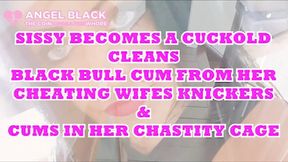 Cuckold sissy eats black bulls cum from wife's cheating knickers and cums in its chastity cage (480SD)