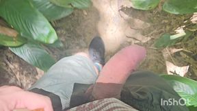 andando de pau pra fora no mato.