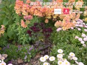 素人巨乳女子大生とのセックス 主観フェラと生中出し 痙攣 日本人カップル 主観 美乳スタイル抜群の美女 ハメ撮り 個人撮影 手コキ 無修正 まろちゃんねる