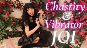 Chastity Cage & Vibrator JOI for Sissies & Faggots