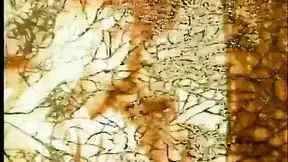 Blonde vintage hairy pussy big cock in mouth big cock in pussy