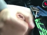 Sego il mio toro mentre guido