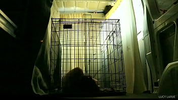 Petgirl Gets Left In A Van On A Hot Day