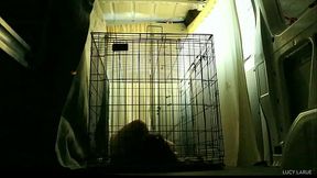 Petgirl Gets Left In A Van On A Hot Day