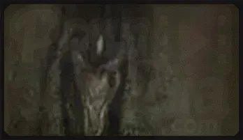 Ebony Solo Gaping & Queefing – Intense HD Performance