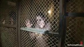 Day 2 Final Two Slaves