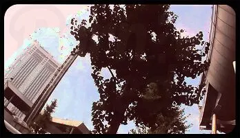 Sarina Tsubaki Enjoys Hot Outdoor Dick Ride