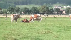 German Farmer's Granny gives a sloppy outdoor blowjob
