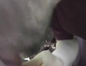 Bear Cub Blows a Load in His Mouth and Swallows
