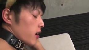 Japanese boy hiroki