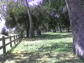 Cumming All Over