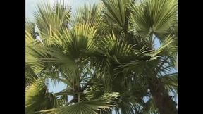 Blair Segal: Car Wash and Fuck Under the Sun