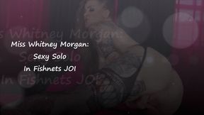 Miss Whitney Morgan: Sexy Solo In Fishnets JOI - mp4