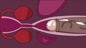 Internal Ejaculation 2 (animation)