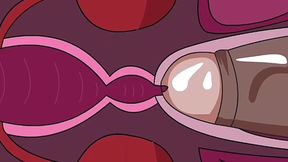 Internal Ejaculation 2 (animation)