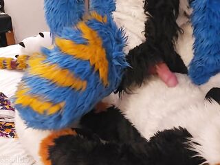 Large dog teaches the little kitty how to sit #knot #knotfucking