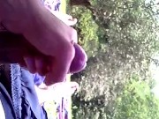 Paja en el bosque