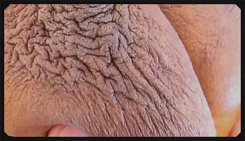 POV Ebony Blowjob with Msnovember – Deep Throat & Tit Play